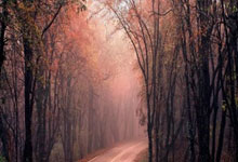 12战10败！独行侠遭76人逆转横扫 克莱21分华盛顿29+12.