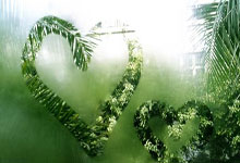 沙特本届18强赛前8场只打进4球，其中3球来自对阵国足.