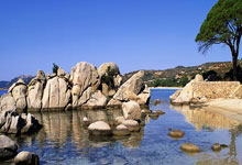 [CBA]季后赛5月3日：辽宁VS广东.